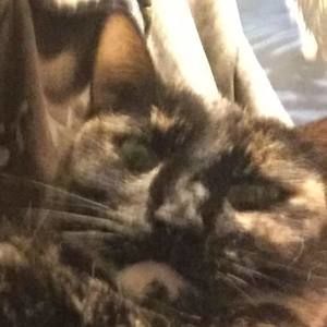 Meet your Posher, Robin